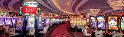 hm777com Baccarat Fire at hm777com — Live Tables, Real Dealers